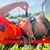 Lori Wroblewski's profile image