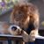 LaMarcus J. Jones's profile image