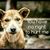Dianne Vitagliano's profile image