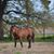 Lori Broussard's profile image