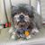 Leslie Boughton's profile image
