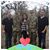 Stacey McKinney Haeber's profile image
