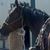 Rick Linneman's profile image