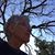 Shelly Goodwin Smith's profile image