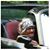 Jenny Renfrow Lindsey's profile image