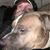 Douglas Wayne Turner's profile image