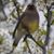 Gayle Bauscher's profile image