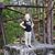 Zane Grey Stevenson's profile image