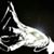 Hasson Diggs's profile image