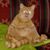 Jeff Hornick's profile image