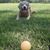 Gwenn Brant's profile image
