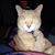 Ann Marie Leoni's profile image