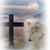 Amy Hayden's profile image