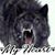 Holly Ann Grammatico's profile image