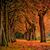 Tracy Lawrence Leonard's profile image