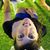 Silvia Fantauzzi's profile image
