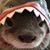 Julie M Murphy's profile image
