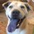 Megan Hiestand's profile image