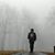 Farhad Hem's profile image