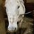 Barbara Bobbe's profile image