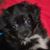 Debbie Monetta's profile image