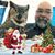 Larry DeVera's profile image