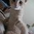 Irene Callenbrech's profile image