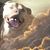 Chunda Micklow Greathouse's profile image