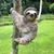 Stephen Arsenault's profile image