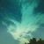 Eileen Dawn McCarty's profile image