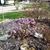 Dorothy Aasen-Delg's profile image