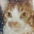Rosemarie Irkinas's profile image