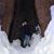 Jorge Castellon's profile image