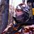 Jon Jaquin's profile image