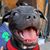 Albert Gordy's profile image
