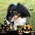 Janie Cross's profile image