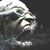 Jim Powell's profile image