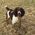 Mary Treba's profile image