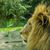 John Cordes's profile image