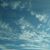 Alba Lucia Morales's profile image