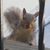 Nashla Musa's profile image