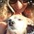 Elena M Cerda's profile image