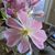 Billie Dee Jelin's profile image