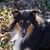 Debbie Francy's profile image