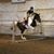 Samantha Stoel's profile image