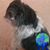 Barbara Bizzell's profile image