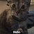 Mikie Lee Manley's profile image