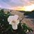 Sherrie Gordon's profile image