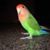 Sherry Clark Good's profile image
