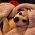 Evie Williams's profile image
